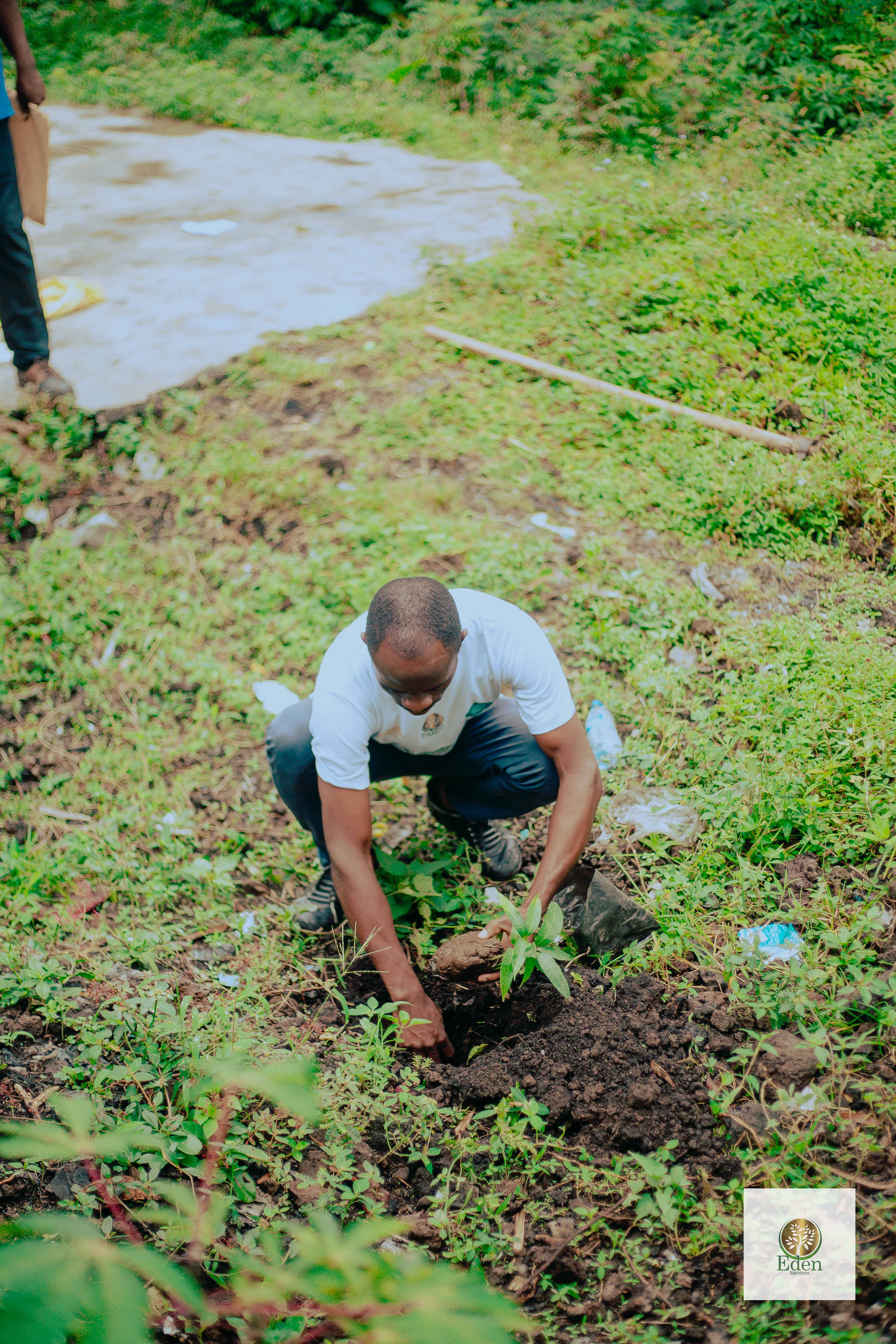 EDEN SERVICES RDCONGO PLANTE DES ARBRES À L'ECOLE MATERNELLE D'APPLICATION CBCA HIMBI