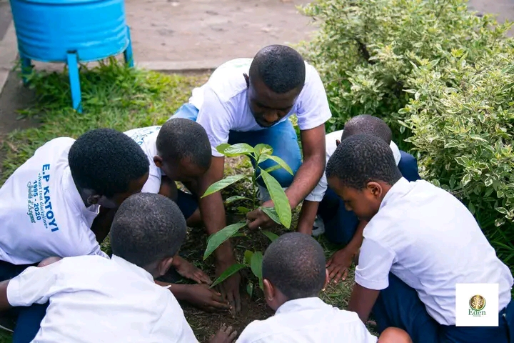 RÉGÉNÉRATION VERTE À L'ÉCOLE PRIMAIRE KATOY